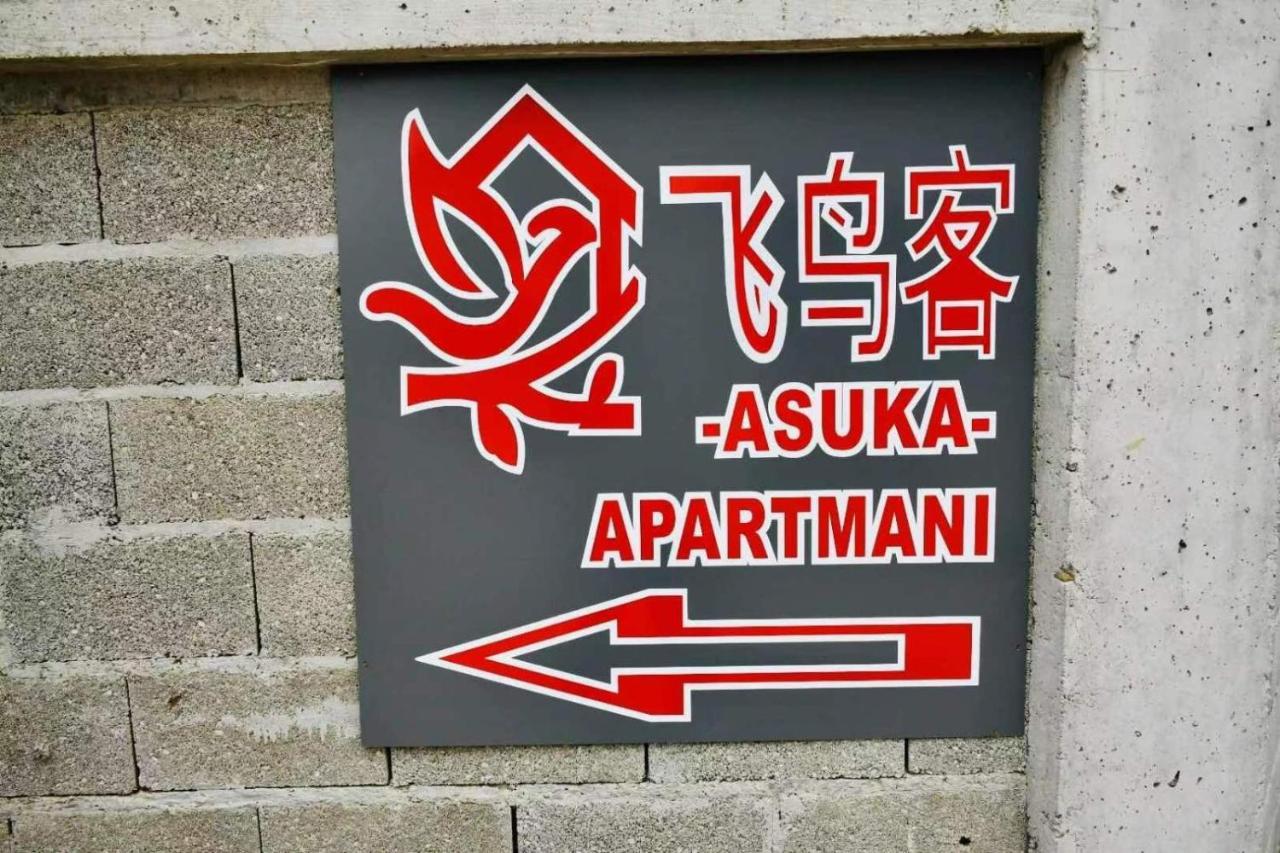 Asuka Apartmani 飞鸟客 Surcin Bagian luar foto
