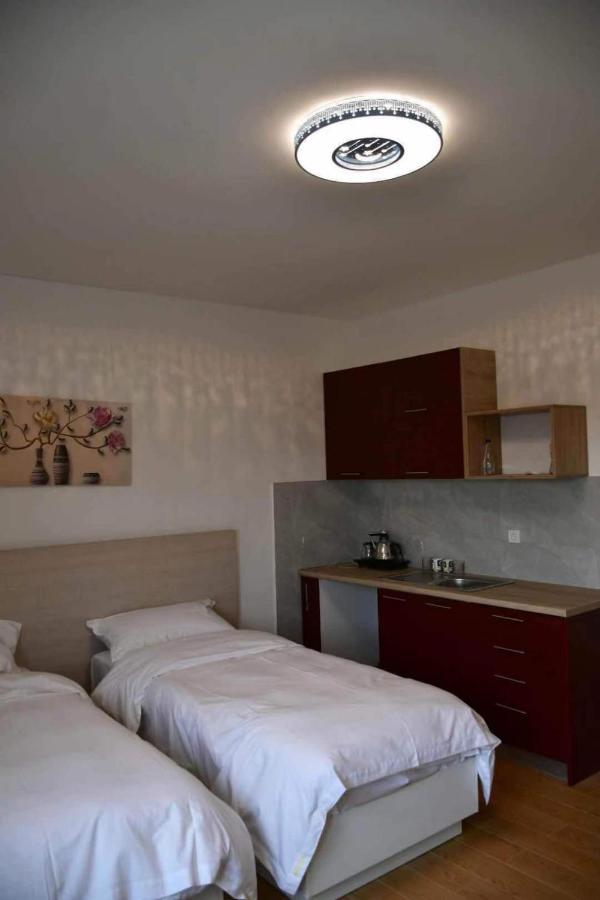 Asuka Apartmani 飞鸟客 Surcin Bagian luar foto